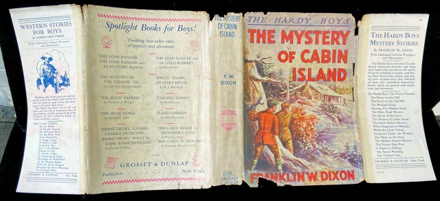 This image has an empty alt attribute; its file name is hardy-8-cabin-island-c.jpg